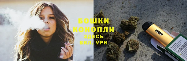 шишки Пестово
