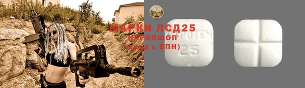 шишки Пестово