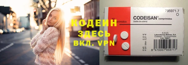 шишки Пестово