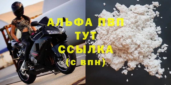 шишки Пестово