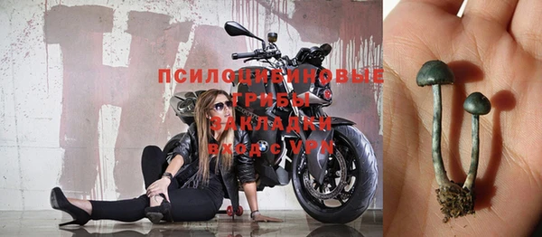 стафф Пересвет