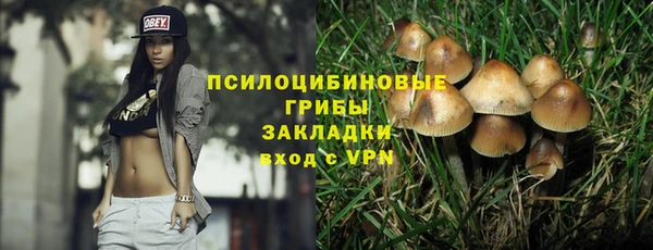 ECSTASY Козельск