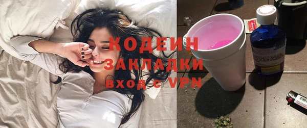 шишки Пестово